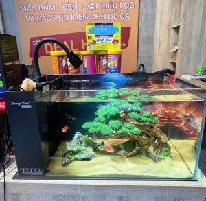 Bể Cá lọc vách Kính Siêu Trong nhập khẩu Tặng full Phụ kiện và vll matrix. kính siêu trong china