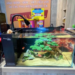 Bể Cá lọc vách Kính Siêu Trong nhập khẩu Tặng full Phụ kiện và vll matrix. kính siêu trong china