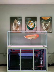 BỂ KÍNH SIÊU TRONG TÀU CNC HỆ THỐNG PHAO CƠ