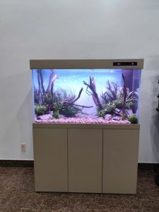 BỂ KÍNH SIÊU TRONG TÀU  HỆ THỐNG CỘT GÓC ĐIỀU KHIỂN ĐIỆN TỬ