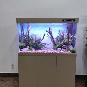 BỂ KÍNH SIÊU TRONG TÀU  HỆ THỐNG CỘT GÓC ĐIỀU KHIỂN ĐIỆN TỬ