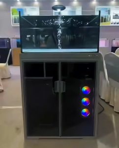 BỂ CHUYÊN DỤNG CHO SƯ TỬ ,CÁ VÀNG HIỆN ĐẠI CHỈNH APP