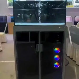 BỂ CHUYÊN DỤNG CHO SƯ TỬ ,CÁ VÀNG HIỆN ĐẠI CHỈNH APP