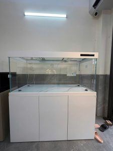 BỂ CÁ KÍNH SIÊU TRONG TÀU HỆ THỐNG PHAO CƠ ĐIỆN TỬ