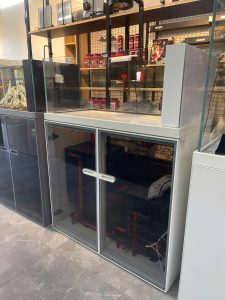 BỂ CÁ KÍNH SIÊU TRONG TÀU BIO TOP CÁ SUỐI CHÂN KÍNH