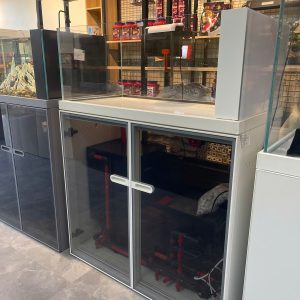 BỂ CÁ KÍNH SIÊU TRONG TÀU BIO TOP CÁ SUỐI CHÂN KÍNH