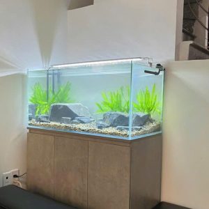 BỂ CÁ KÍNH SIÊU TRONG TÀU BIO TOP CÁ SUỐI CHÂN GỖ MDF LÕI XANH