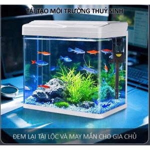 BỂ CÁ KÍNH ĐÚC UỐN CONG ĐỂ BÀN