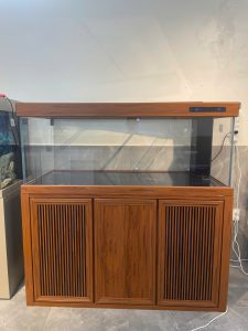 BỂ CÁ KÍNH SIÊU TRONG TÀU VÂN GỖ HỆ THỐNG CỘT GÓC BẢNG ĐIỆN TỬ