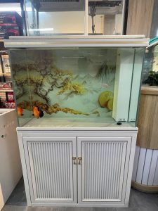 BỂ KÍNH SIÊU TRONG TÀU  HỆ THỐNG CỘT GÓC NẮP ĐÈN