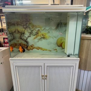 BỂ KÍNH SIÊU TRONG TÀU  HỆ THỐNG CỘT GÓC NẮP ĐÈN